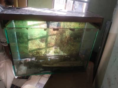 Fish equarium  03218014888