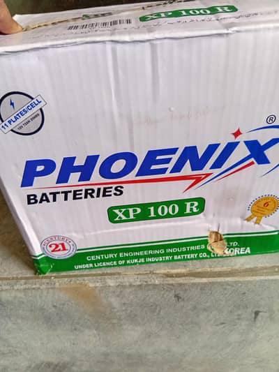 New daba paik Battery
