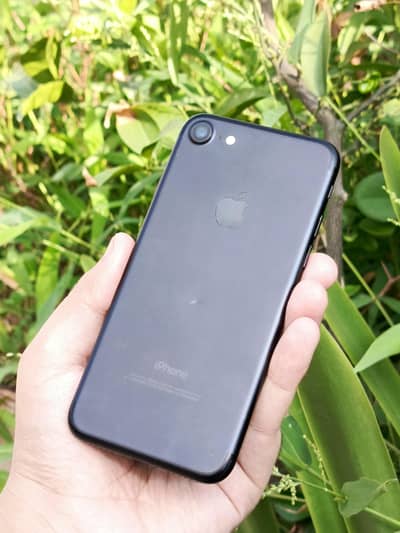 Apple iPhone 7 l 128 GB | Best For Camera