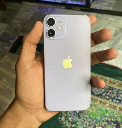 iPhone 12 mini in lush condition