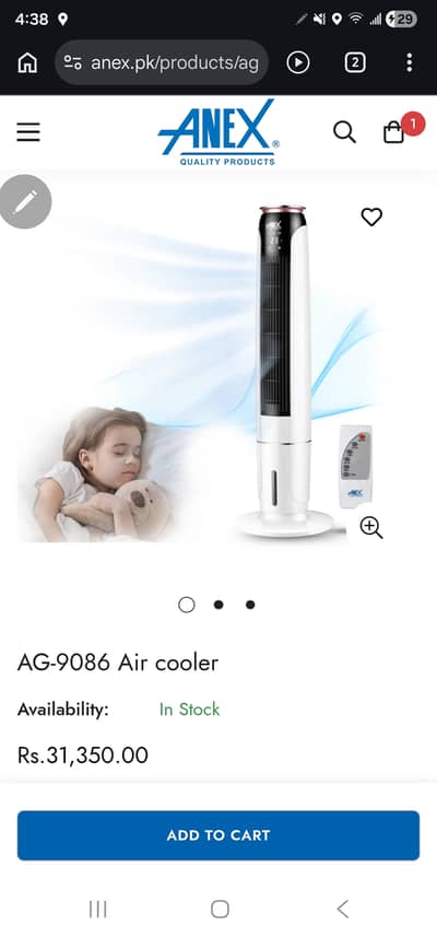 Annex air cooler