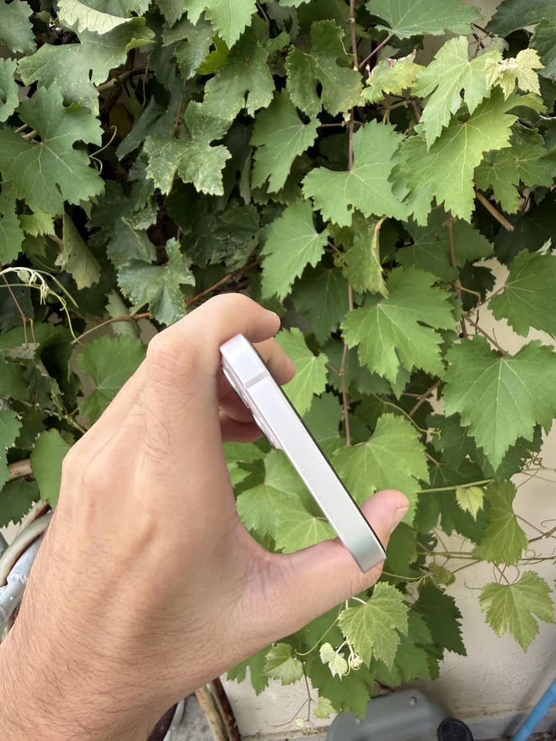Apple iPhone 13 4