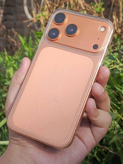 Apple iPhone 11 to 17 Pro Max Converted | Orange