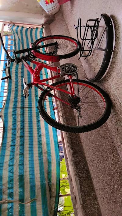 humber cycle and mountain body of cycle