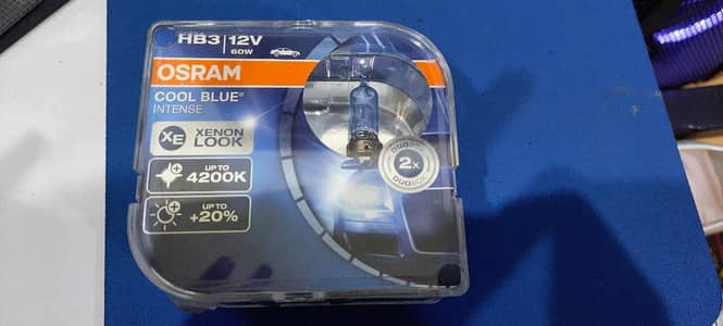 Osram Halogen Bulbs