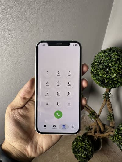 Apple iPhone 12