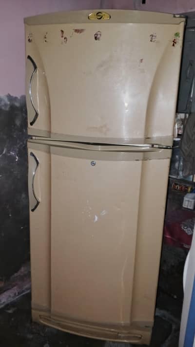 Deep Freezer Pel