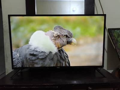 Haier Android smart Led 40 inch Model: H40D6G