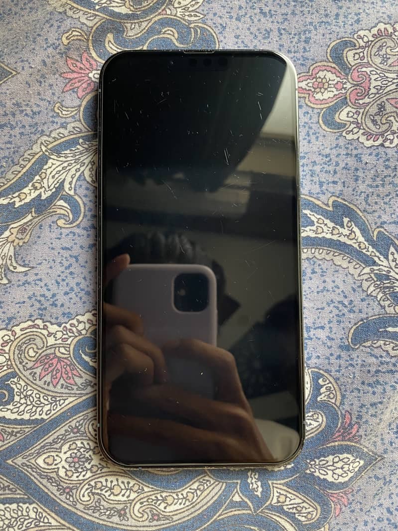 iPhone 13 Pro Max 2