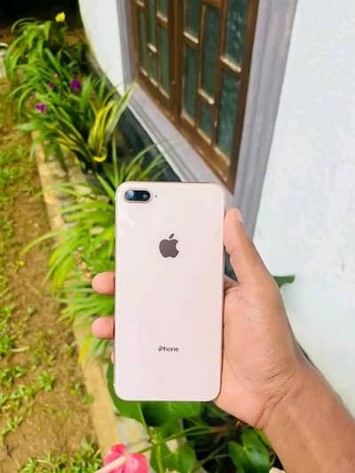 Iphone 8plus pta approved 256gb My WhatsApp number 03093713755