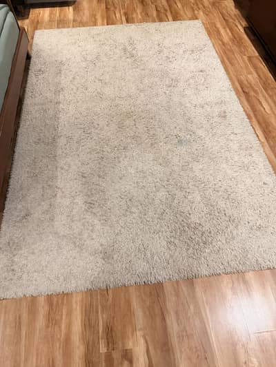 rug carpet