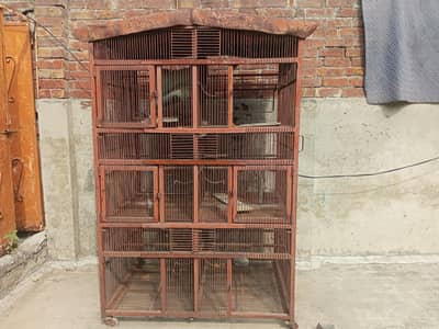 Hen and parrot iron cage