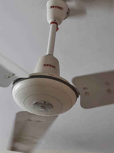 The Royal Ceiling Fan Good Condition
