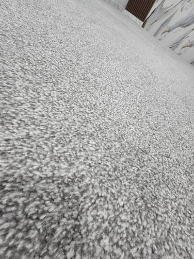 Carpet + Five Star 10mm foam