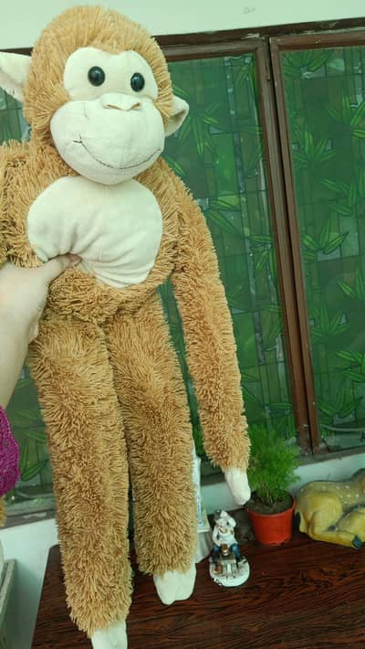 preloved Long Arm monkey for sale