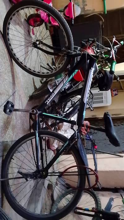 Cycle in Good Condition