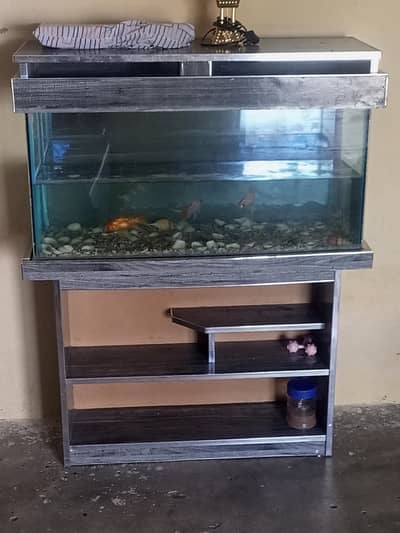 fish aquarium with 3 goldfish 4 foot03177907437