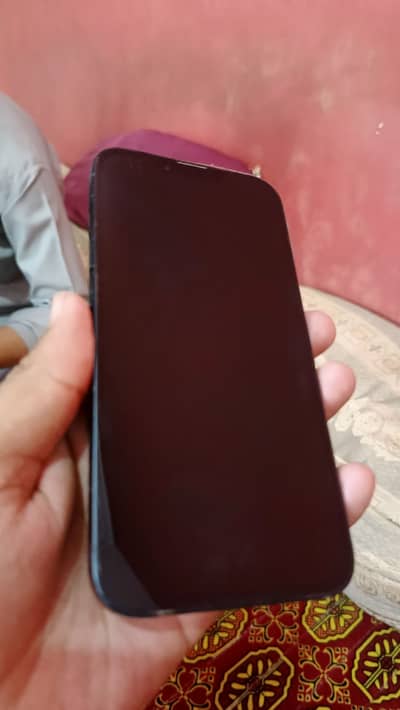 Apple iPhone 13 jv