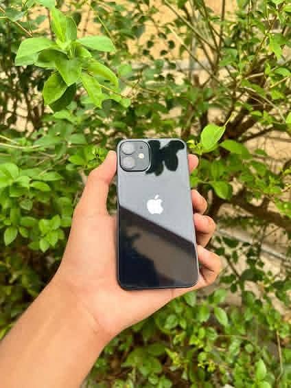 Apple iPhone 12 mini 0