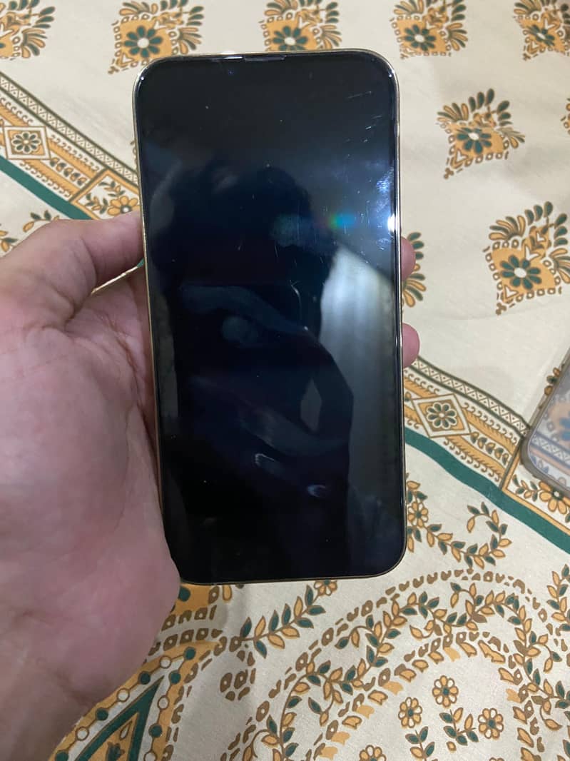 Apple iPhone 13 Pro Max 1
