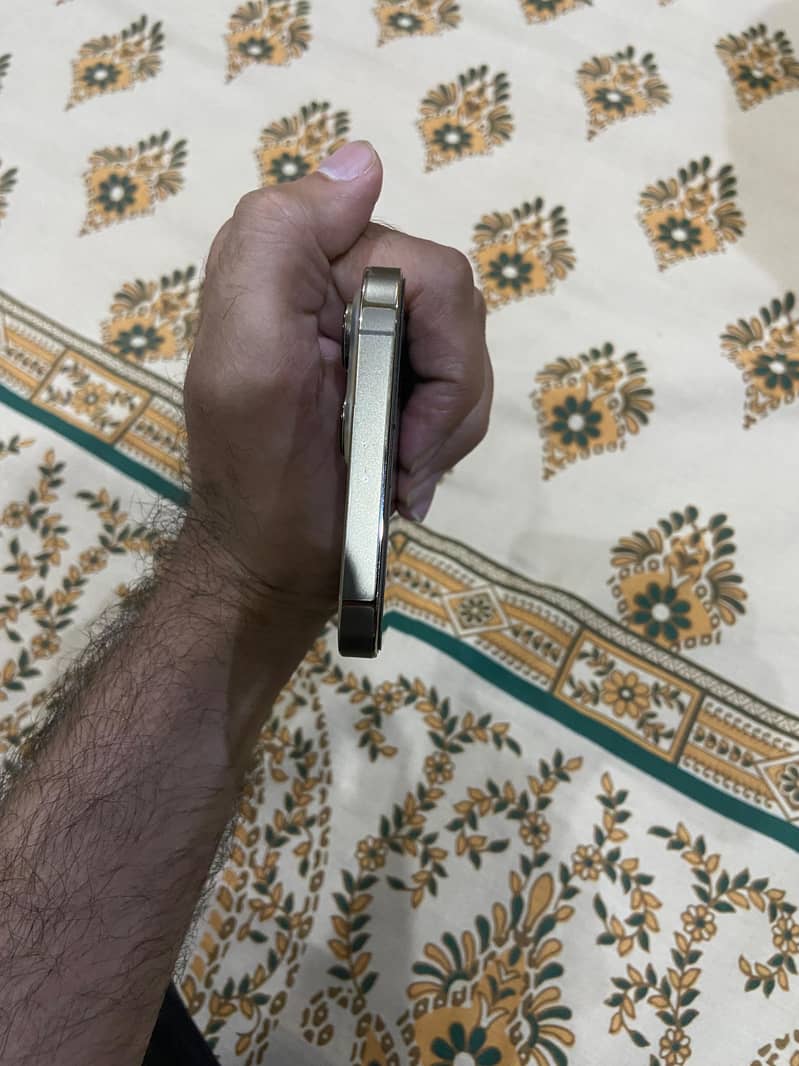Apple iPhone 13 Pro Max 2