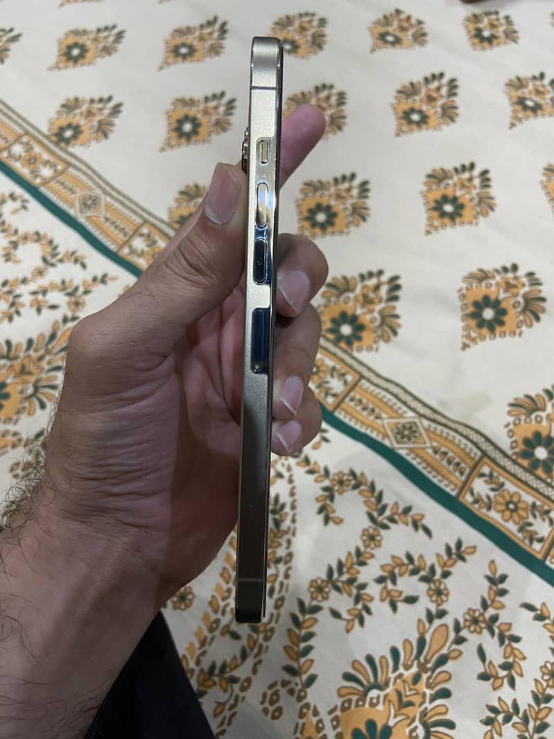 Apple iPhone 13 Pro Max 4