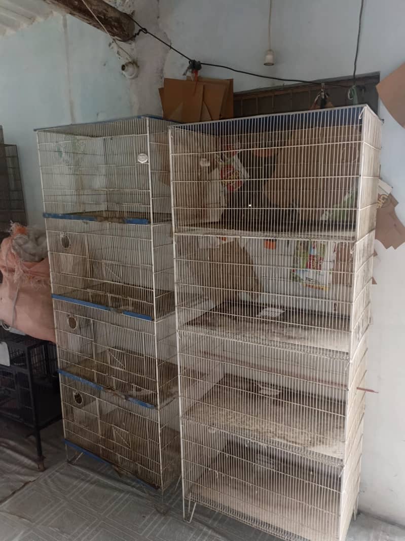 cages 2