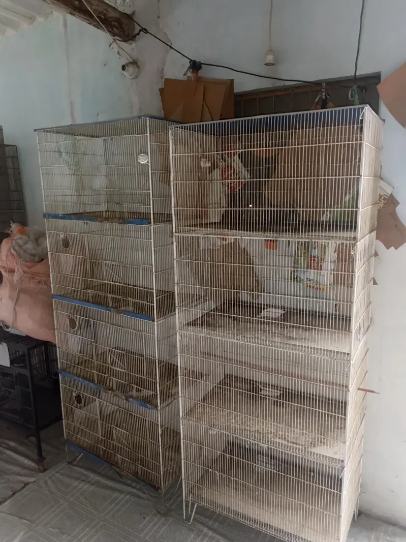 cages — photo 3