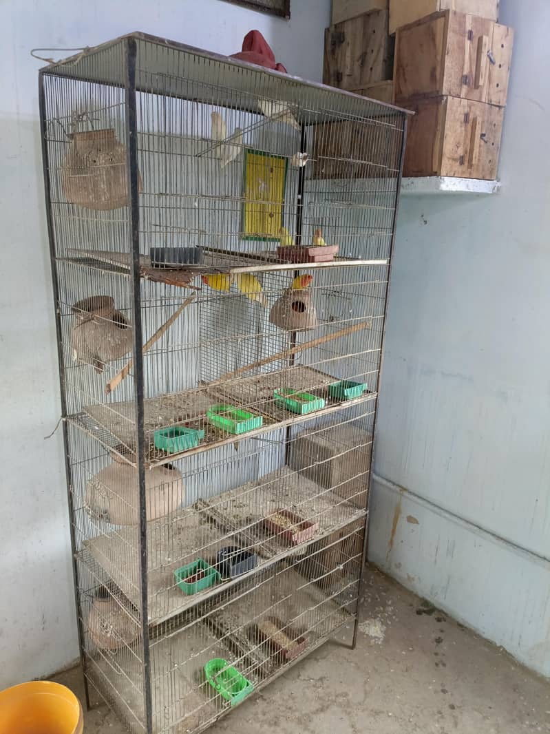 cages 3