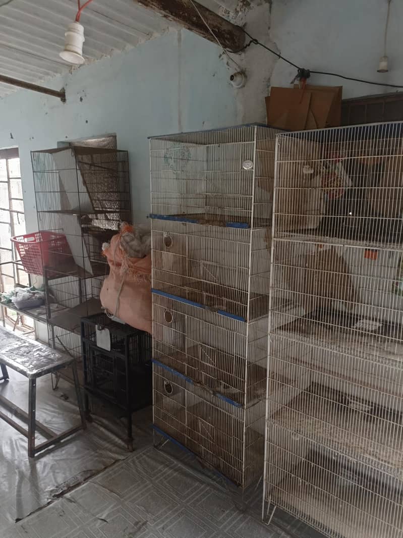 cages 4