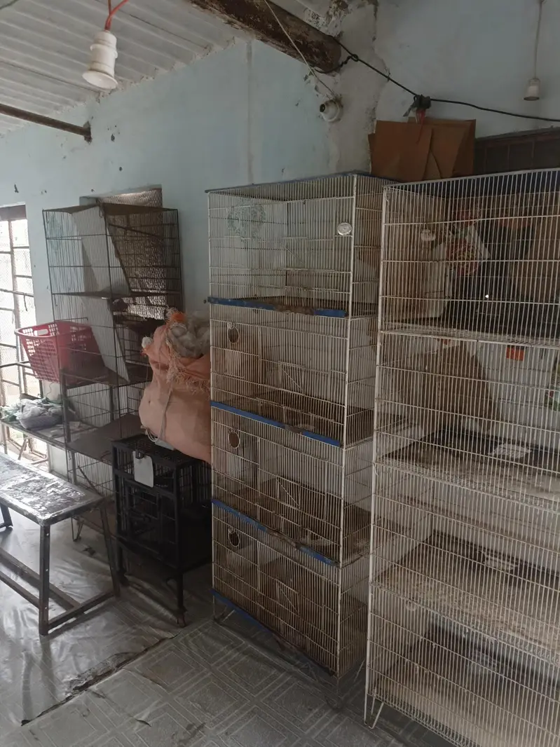 cages — photo 5