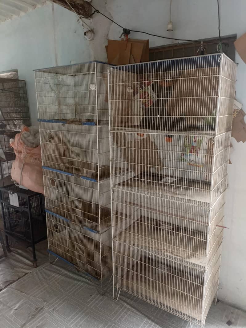 cages 6