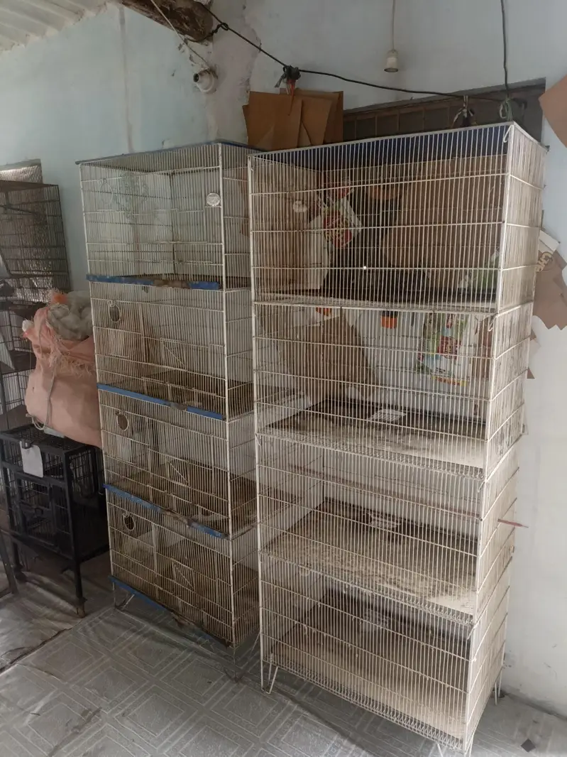 cages — photo 7