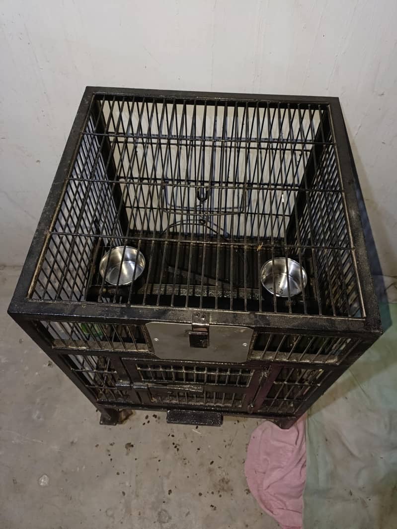 cages 7