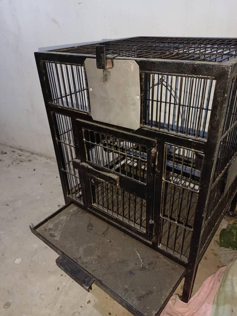 cages 8
