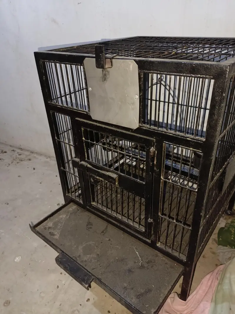 cages — photo 9