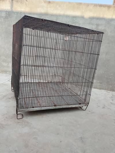 Parrot Cage | Hen Cage | Aseel Cage| Cat Cage| Tame Bird Cage