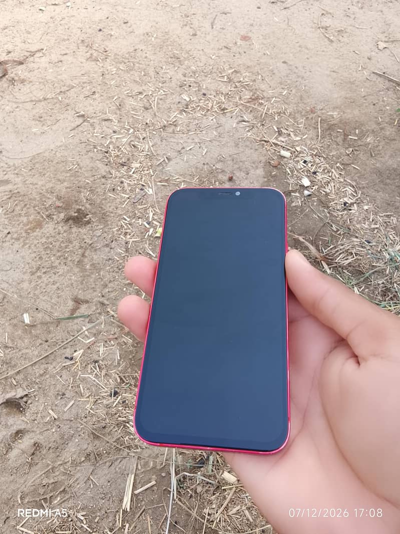 Apple iPhone 12 2