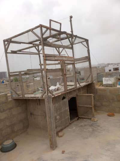 pigeon cage dhoop jal