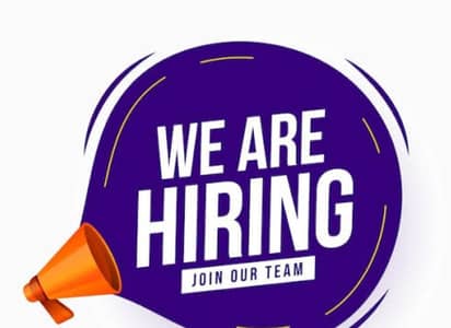 Accountant Required