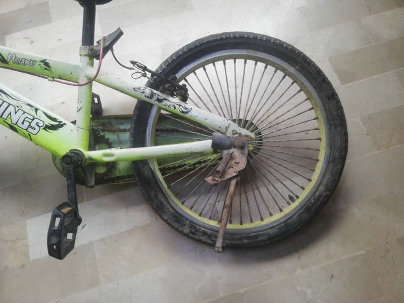 12-spring cycle 4