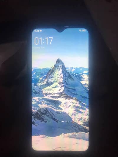 Vivo Y17