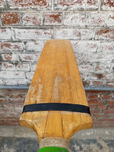 2 Bats for Sale