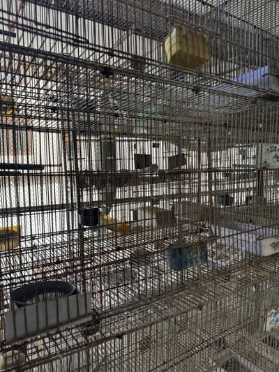 Jehangir Bird cages for sale