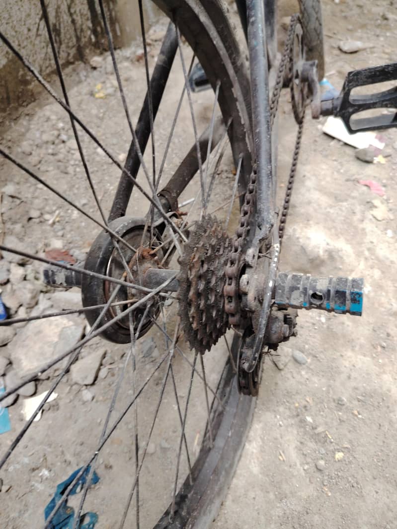 Bicycle 2