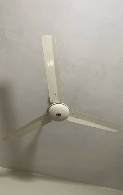 Pak fans cieling fan