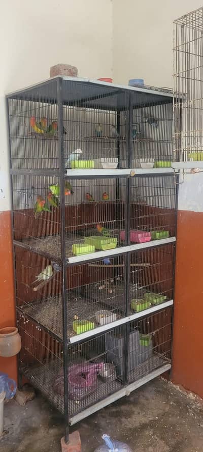 heavy spot wellding cages for sale
