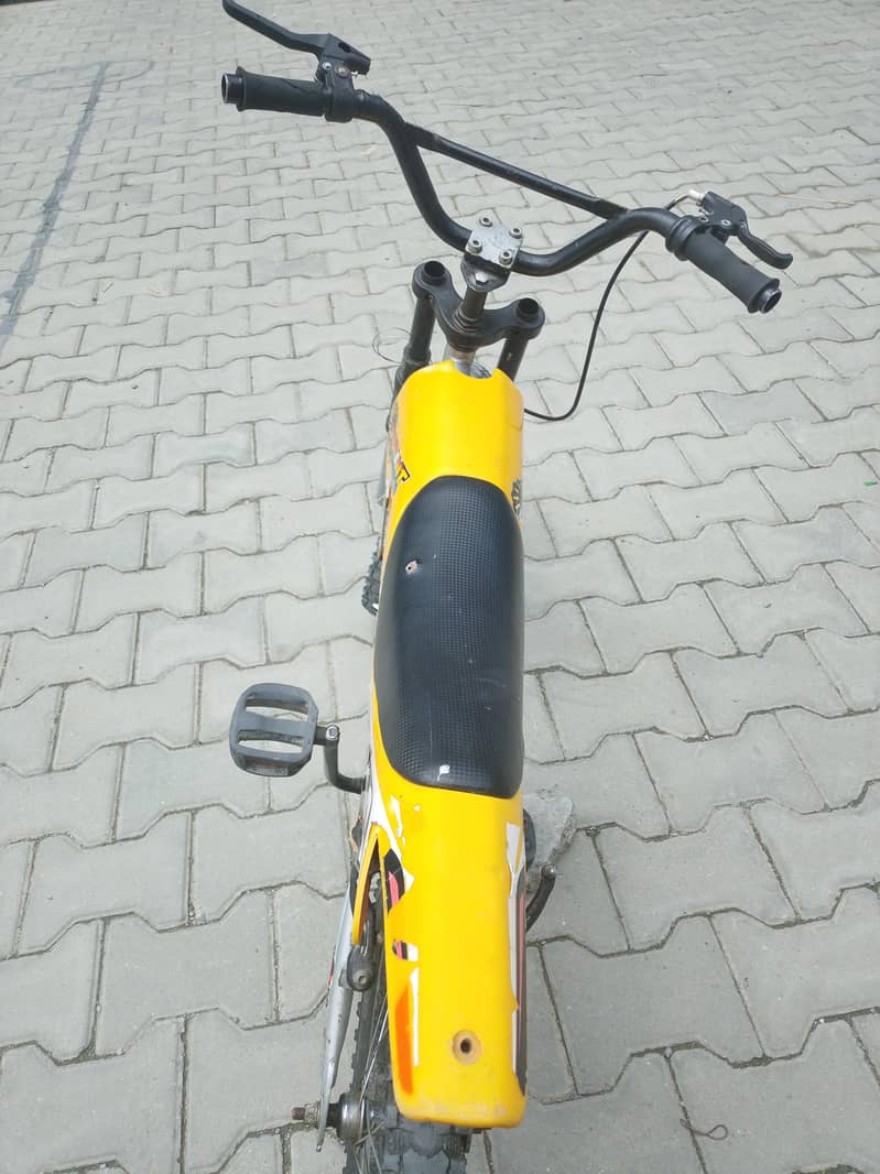 websa cycle 0
