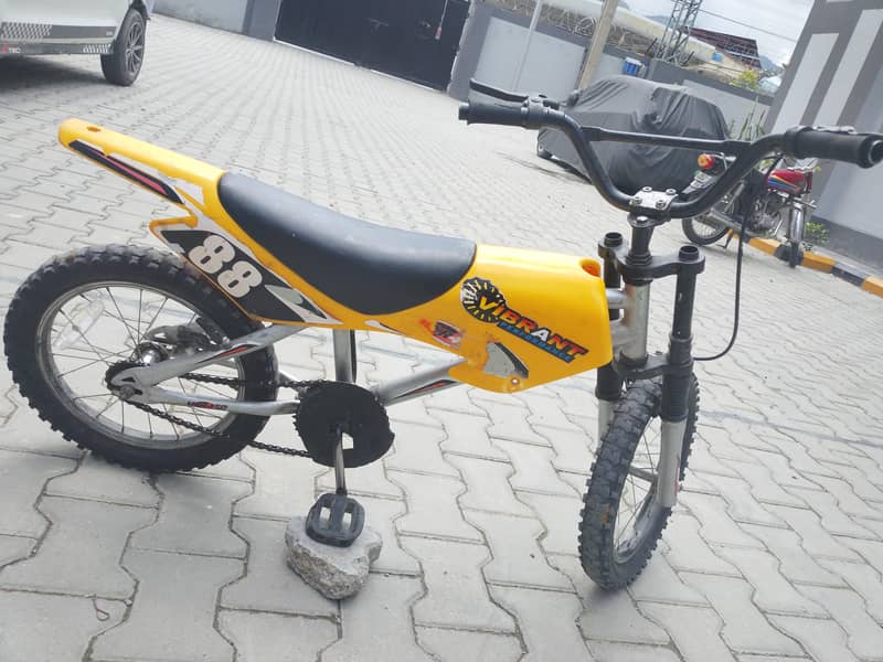 websa cycle 2