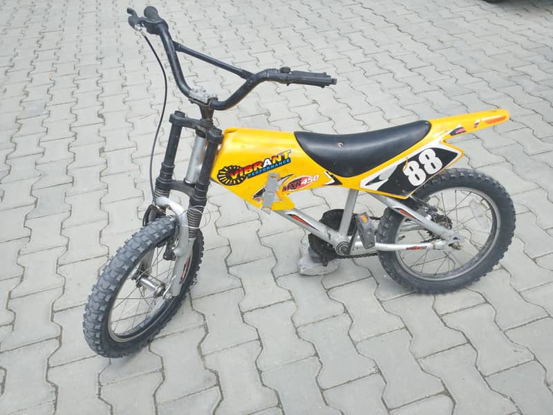 websa cycle 5